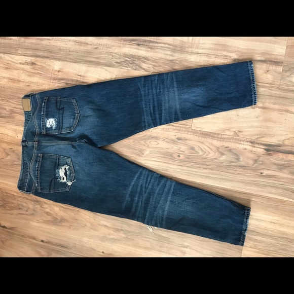 American eagle  🦅 - Picture 2 of 2